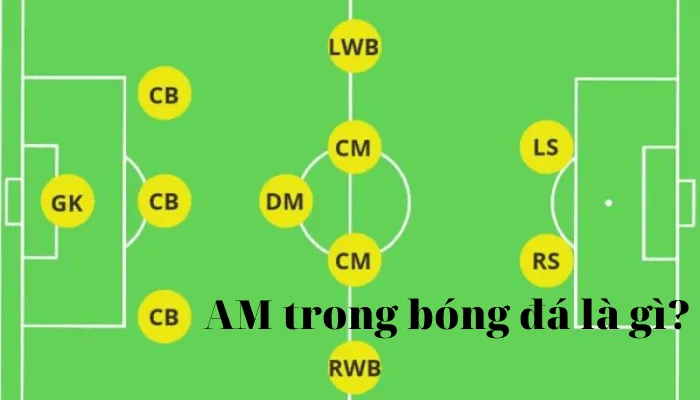 Tiền vệ là gì? Vai trò tiền vệ trụ trong kiểm soát trận đấu